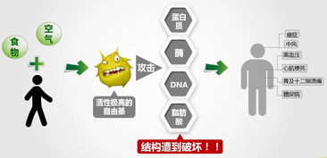 呼和浩特和林格爾縣安利日用品公司聯系方式及產品優惠活動指南